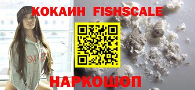 крисы Шахты