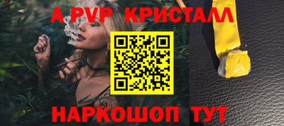 крисы Шахты