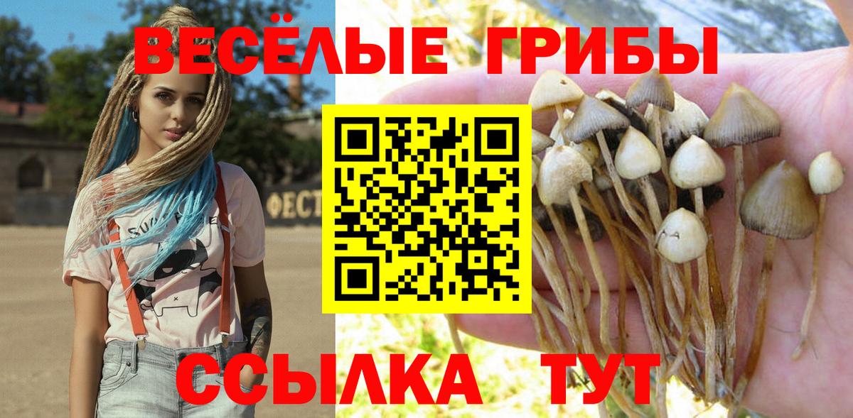 Галлюциногенные грибы Psilocybe  Вход с VPN  Бор 