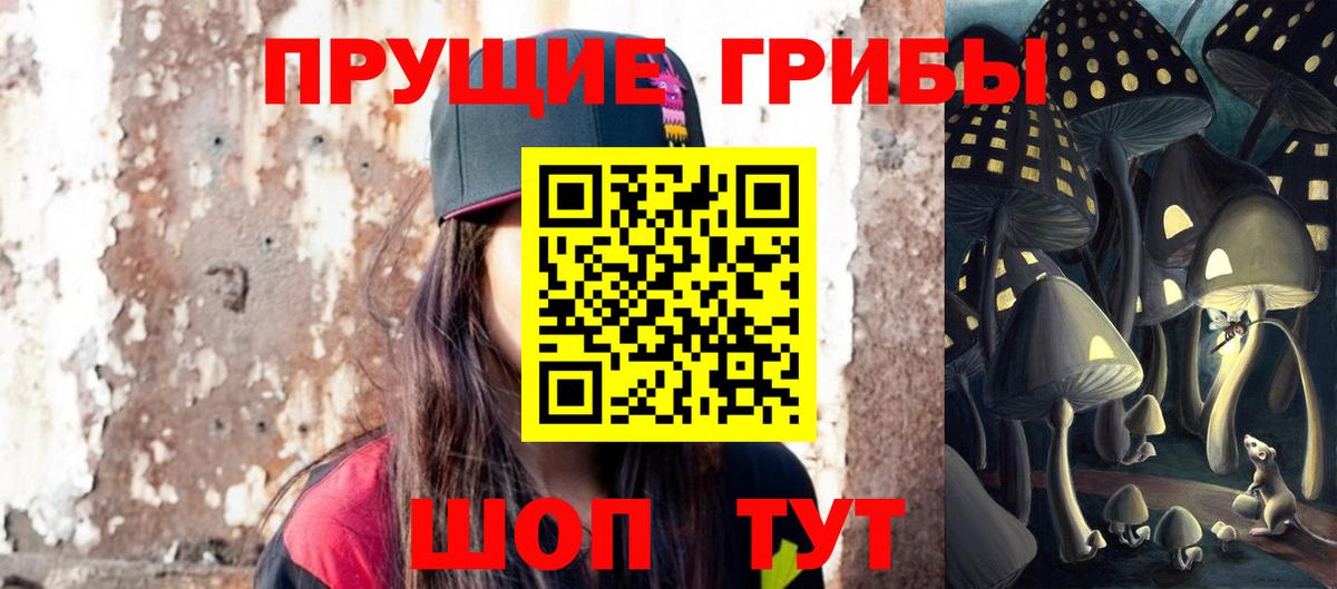 Псилоцибиновые грибы прущие грибы Бор
